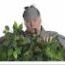 Temat dnia