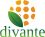 Divante