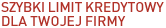 Szybki Limit Kredytowy