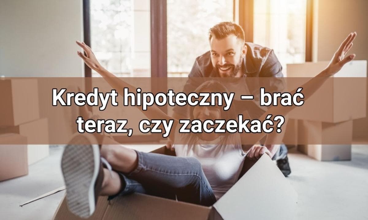 Ilustracja artykułu