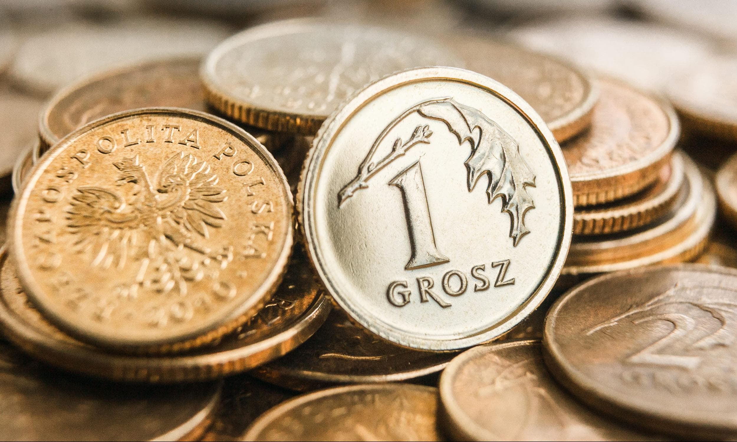 Ilustracja artykułu