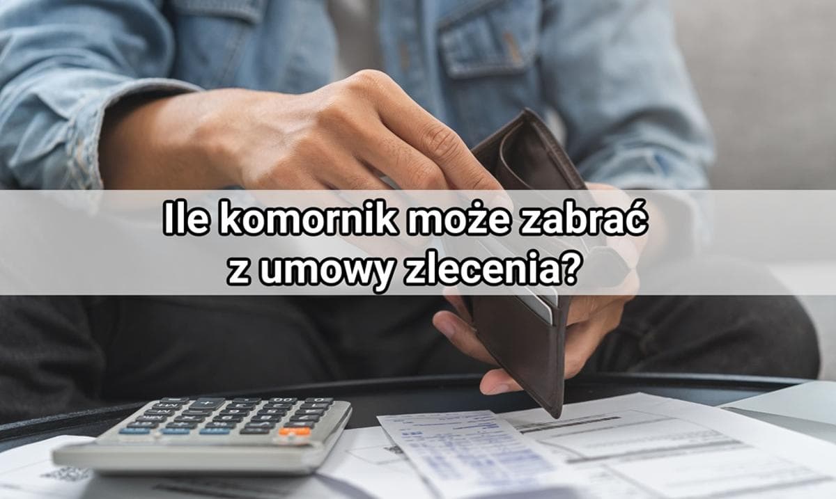 Ilustracja artykułu