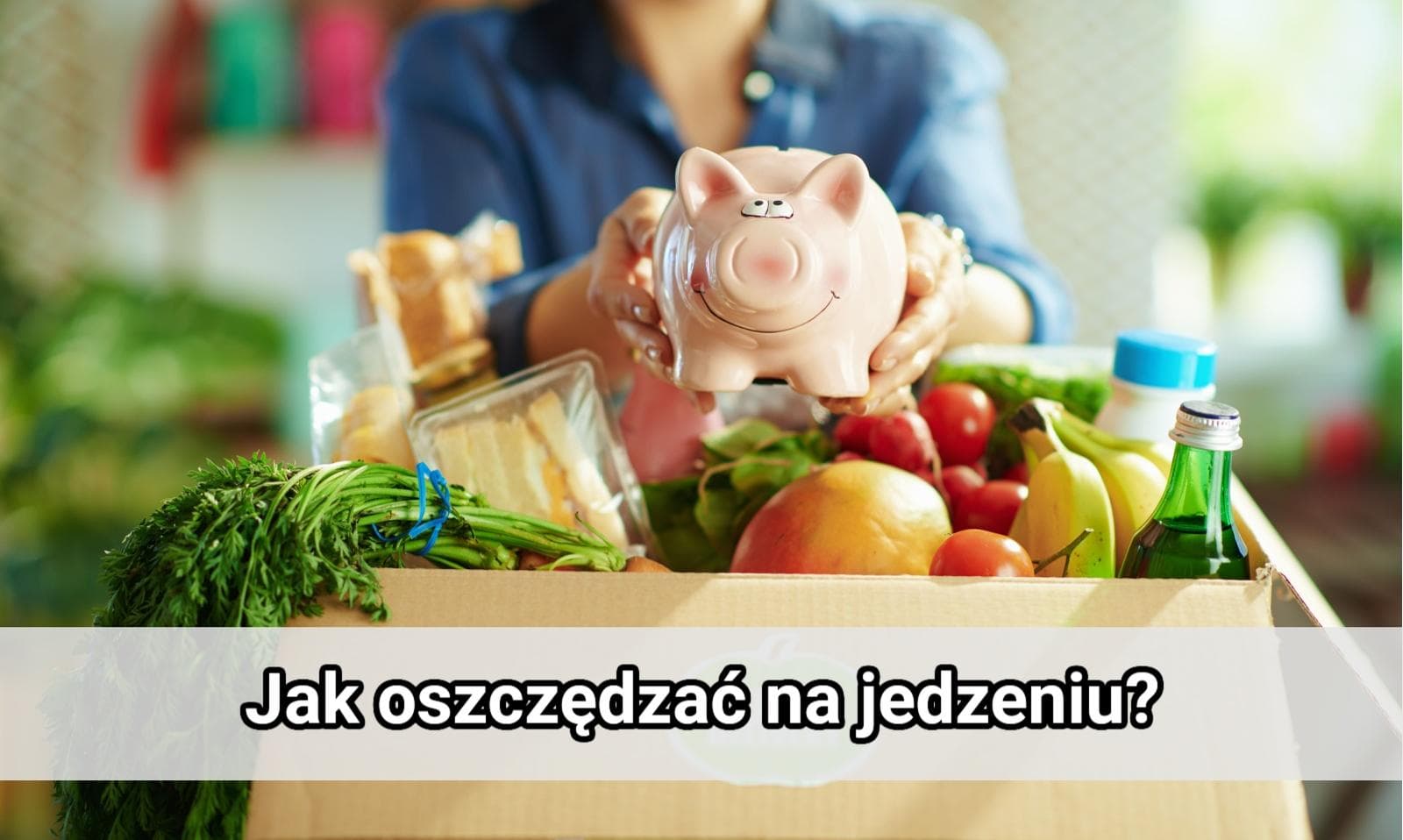 Ilustracja artykułu