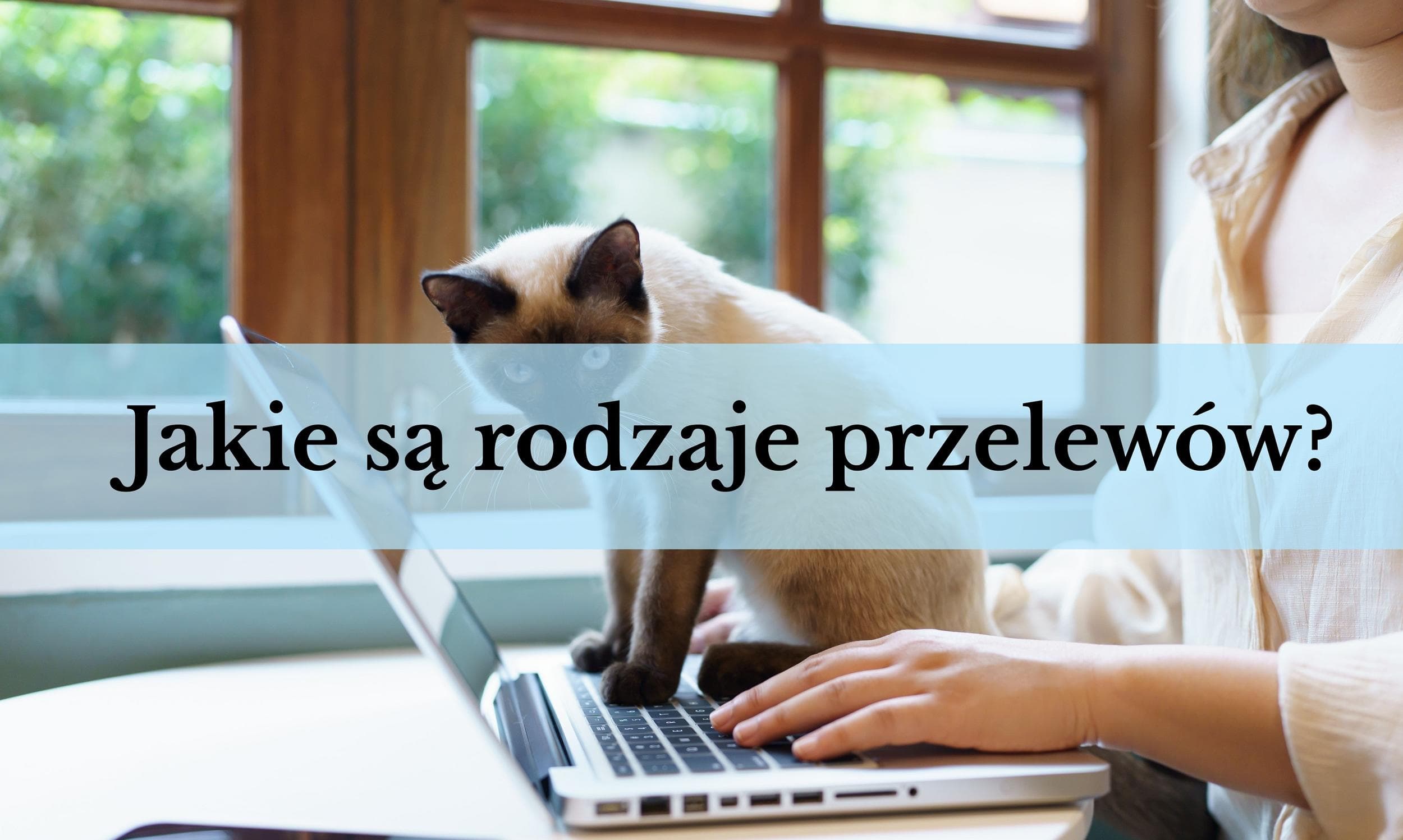 Ilustracja artykułu