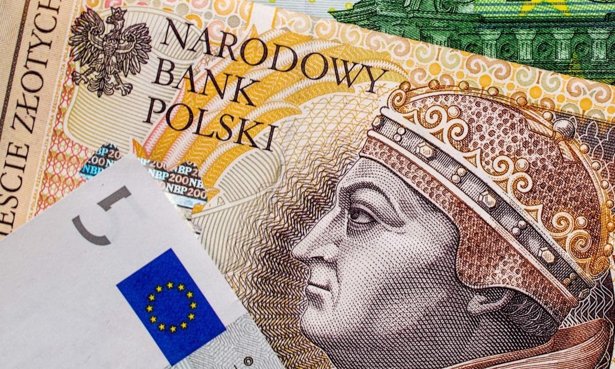 Ilustracja artykułu