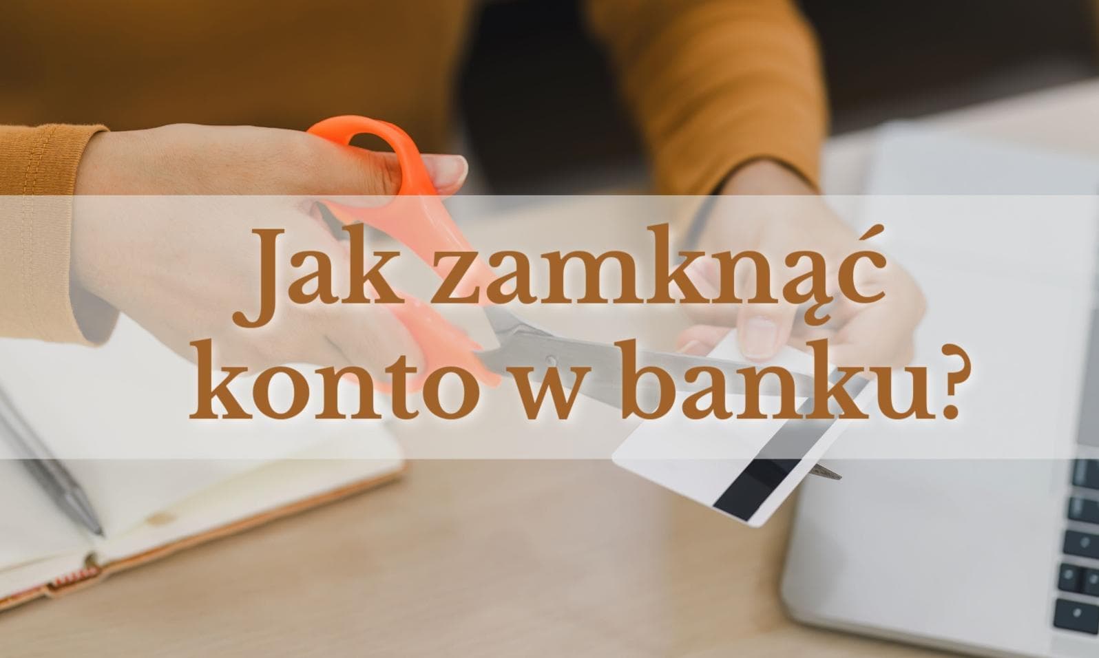 Ilustracja artykułu