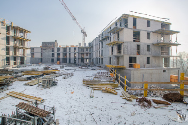 Platanowy Park 2017-02-15 (18)
