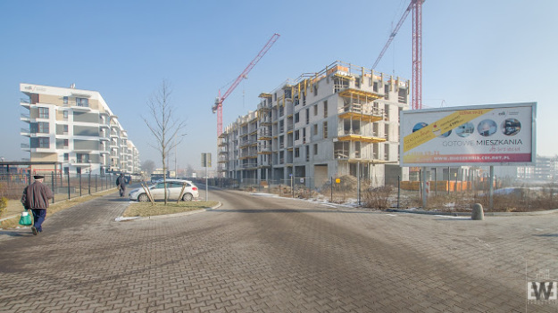 Platanowy Park 2017-02-15 (31)